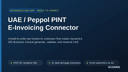 UAE / Peppol PINT E-Invoicing Connector thumbnail 1