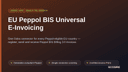 EU Peppol BIS Universal E-Invoicing thumbnail 1