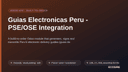 Guias Electronicas Peru - PSE/OSE Integration thumbnail 1