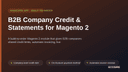 B2B Company Credit & Statements for Magento 2 thumbnail 1