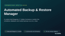 Automated Backup & Restore Manager thumbnail 1