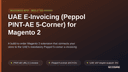 UAE E-Invoicing (Peppol PINT-AE 5-Corner) for Magento 2 thumbnail 1