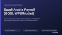 Saudi Arabia Payroll (GOSI, WPS/Mudad) thumbnail 1