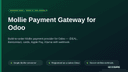 Mollie Payment Gateway for Odoo thumbnail 1
