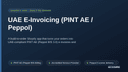 UAE E-Invoicing (PINT AE / Peppol) thumbnail 1