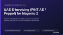 UAE E-Invoicing (PINT AE / Peppol) for Magento 2 thumbnail 1