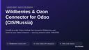 Wildberries & Ozon Connector for Odoo (CIS/Russia) thumbnail 1