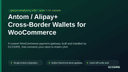 Antom / Alipay+ Cross-Border Wallets for WooCommerce thumbnail 1
