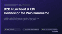 B2B Punchout & EDI Connector for WooCommerce thumbnail 1