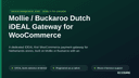 Mollie / Buckaroo Dutch iDEAL Gateway for WooCommerce thumbnail 1