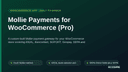 Mollie Payments for WooCommerce (Pro) thumbnail 1