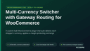Multi-Currency Switcher with Gateway Routing for WooCommerce thumbnail 1